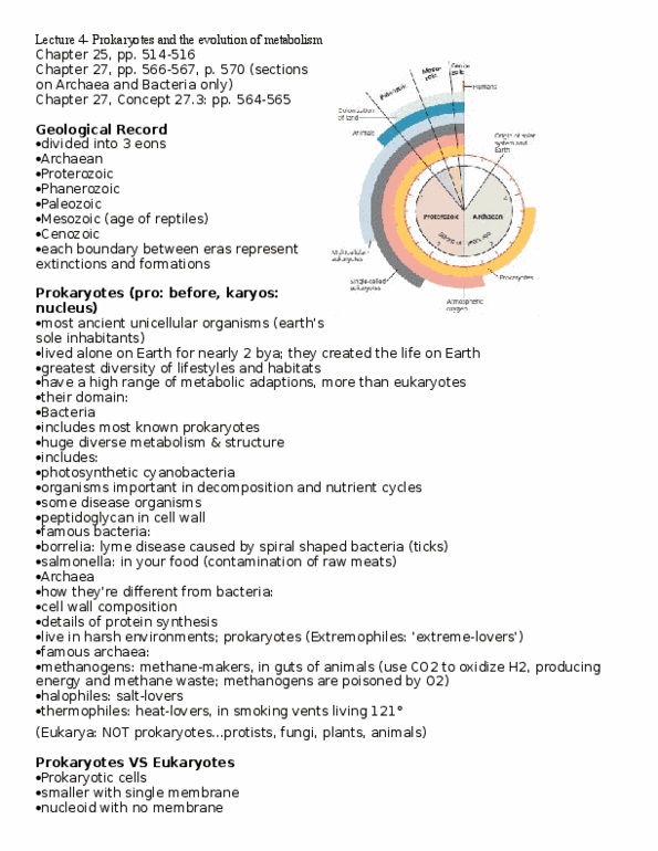 BISC 110 Lecture Notes - Lecture 4: Nucleoid, Purple Sulfur Bacteria, Phanerozoic thumbnail