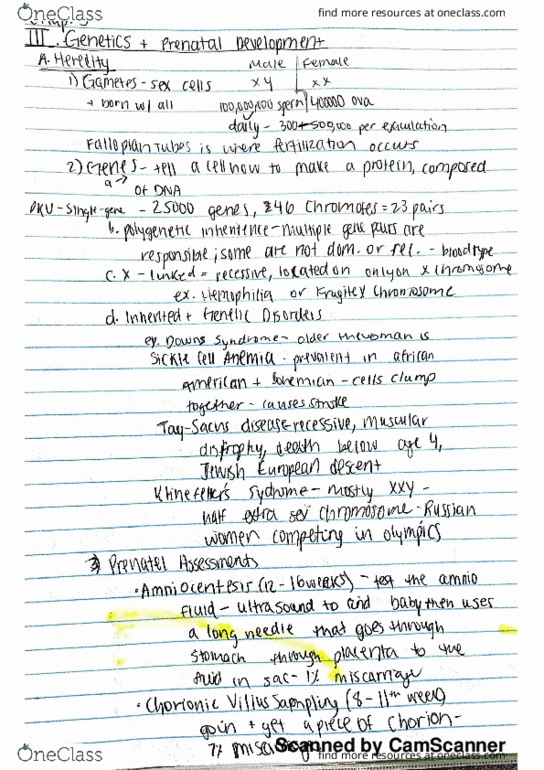 DEP2002 Lecture 4: Chapter 3, D1 thumbnail