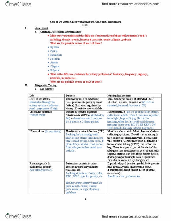 NURS 371 Lecture 8: Renal notes thumbnail