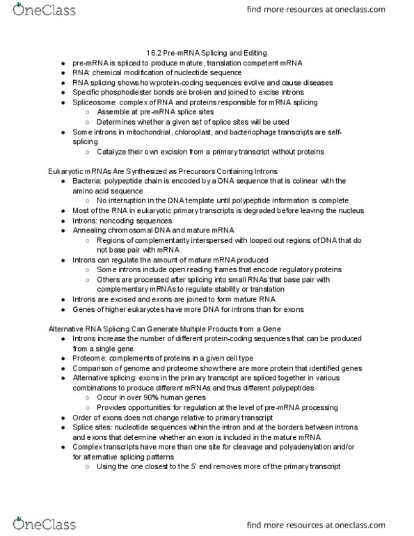 LIFESCI 3 Chapter Notes - Chapter 16.2: Addition Reaction, Branch Point, Snrnp thumbnail