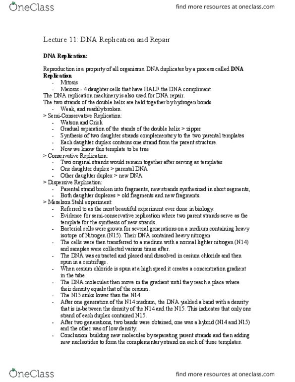 HSS 2305 Lecture Notes - Lecture 11: Dna Glycosylase, Origin Recognition Complex, Phosphodiesterase thumbnail