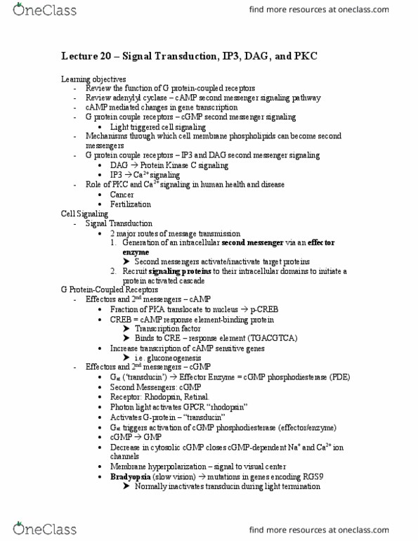 HSS 2305 Lecture Notes - Lecture 20: Inositol Trisphosphate, Apoptosis, Lipid Bilayer thumbnail