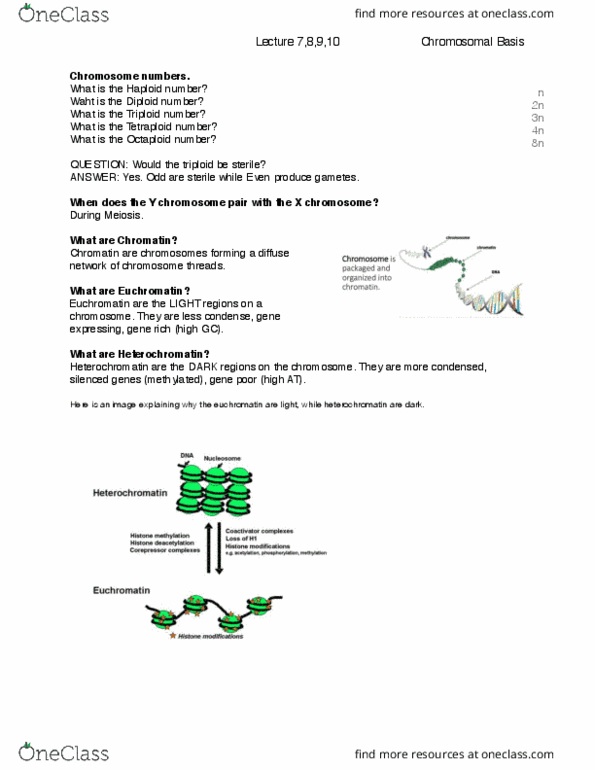 BIOL 1090 Lecture Notes - Lecture 7: Deoxyribonucleoside, Microrna, Corepressor thumbnail