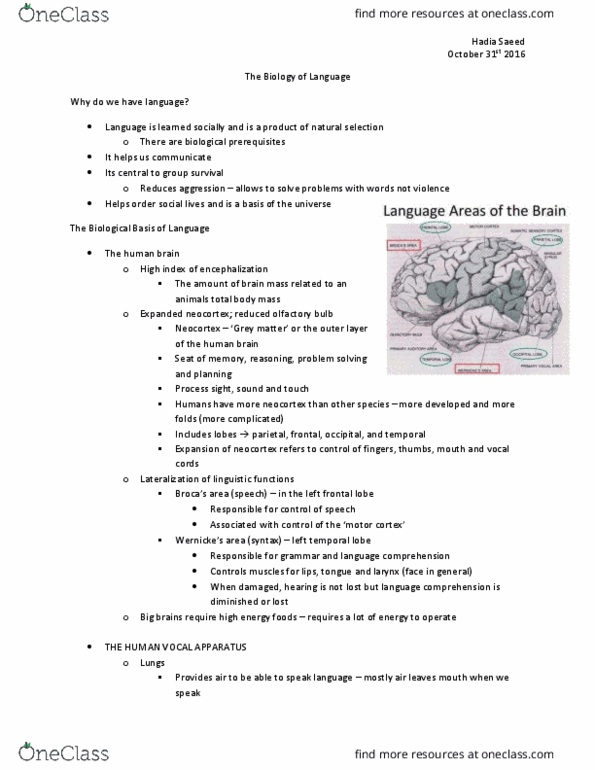 ANT102H5 Lecture Notes - Lecture 1: Vocal Tract, Temporal Lobe, Heritability thumbnail