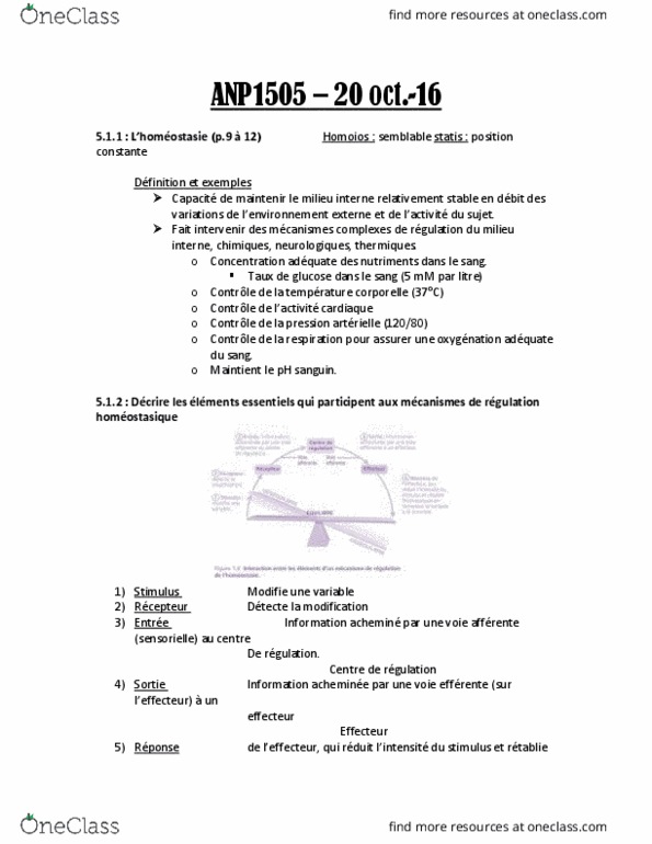 ANP 1505 Lecture Notes - Lecture 22: Diminution, Hypothalamus, Dune thumbnail