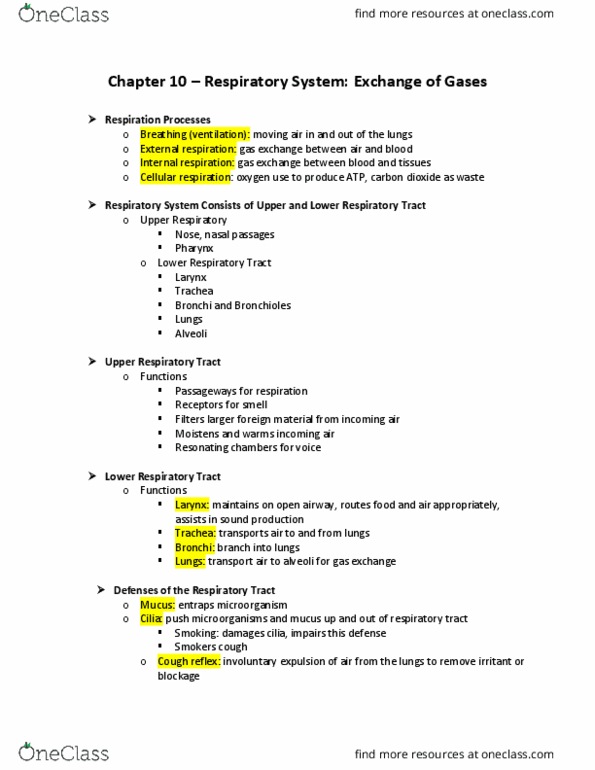 BIOS 1030 Lecture Notes - Lecture 15: Spirometer, Tuberculosis, Thoracic Cavity thumbnail