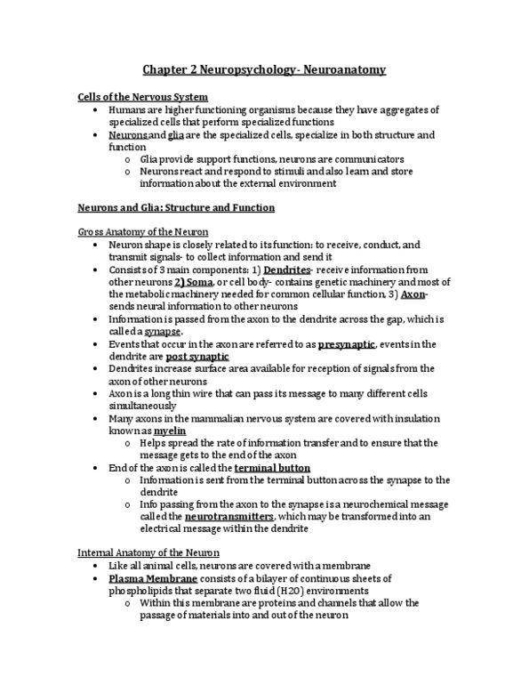 PSYB65H3 Chapter Notes - Chapter 2: Phospholipid, Multiple Sclerosis, Astrocyte thumbnail