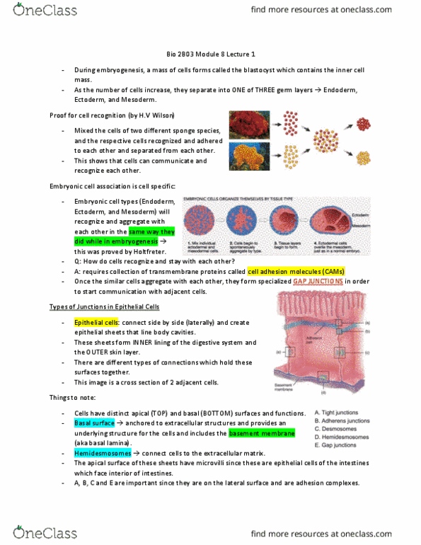 document preview image