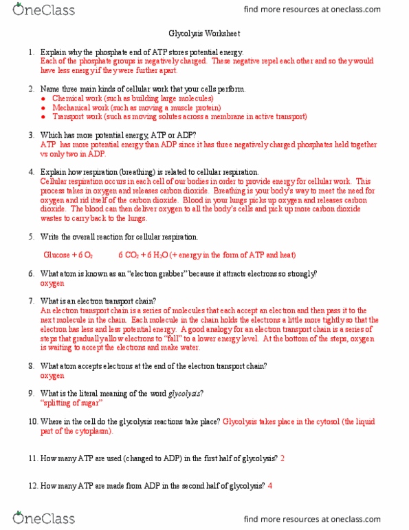 BIOS 100 Lecture Notes - Lecture 7: Cytosol, Cellular Respiration, Glycolysis thumbnail