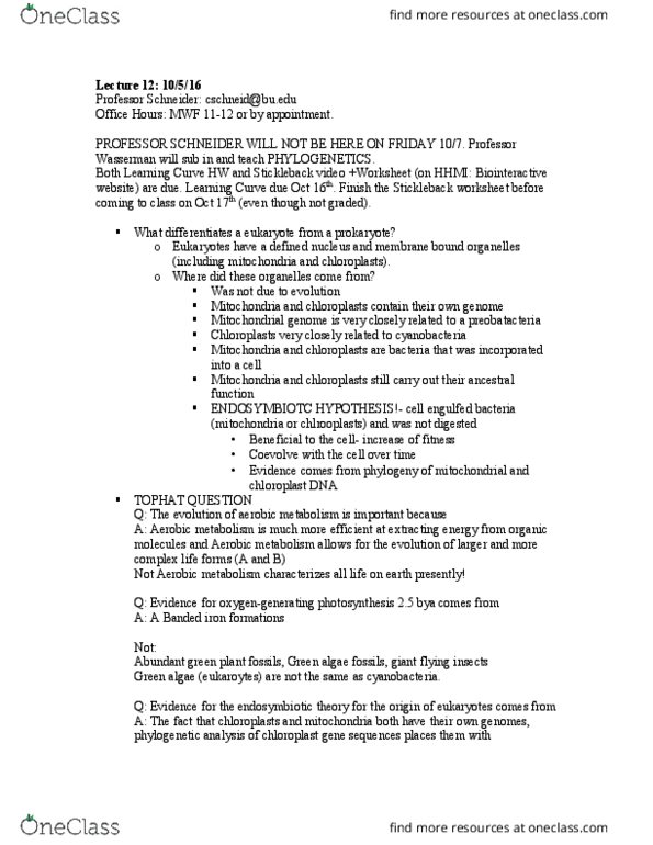 CAS BI 107 Lecture Notes - Lecture 12: Banded Iron Formation, Cellular Respiration, Green Algae thumbnail