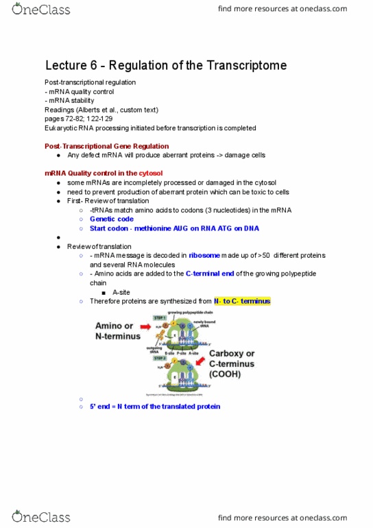 BIO230H1 Lecture Notes - Lecture 6: Start Codon, Transcriptome, Quality Control thumbnail