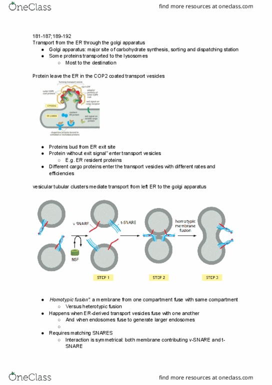 BIO230H1 Chapter Notes - Chapter 12: Golgi Apparatus, Lipid Bilayer Fusion, Endosome thumbnail