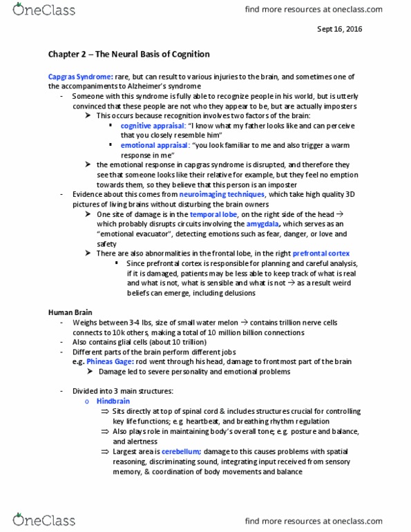 Psychology 2135A/B Chapter Notes - Chapter 2: Capgras Delusion, Phineas Gage, Prefrontal Cortex thumbnail