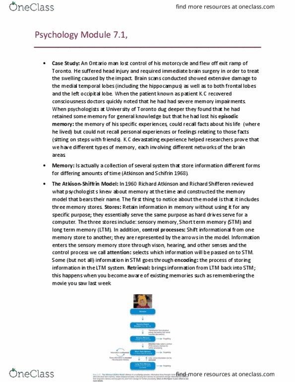 PSY100H1 Chapter Notes - Chapter 7: Sensory Memory, Occipital Lobe, Temporal Lobe thumbnail