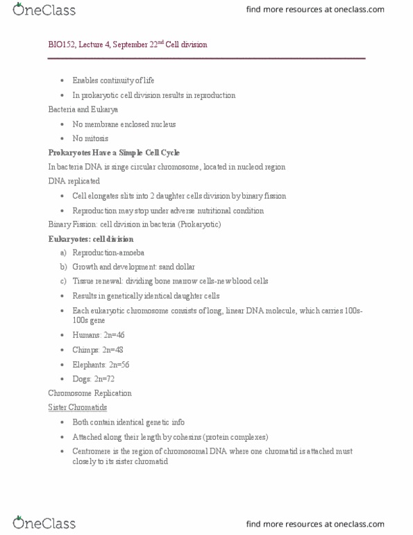 BIO152H5 Lecture Notes - Lecture 6: Sand Dollar, Cell Division, Centromere thumbnail