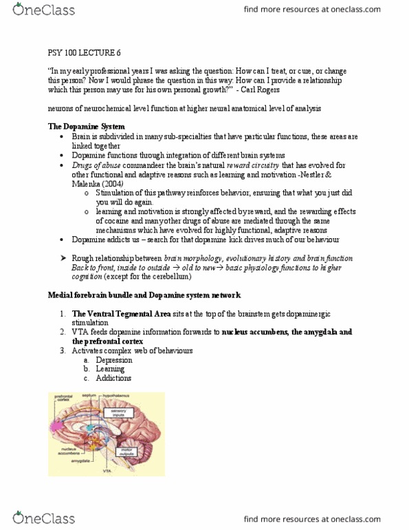 PSY100H1 Lecture Notes - Lecture 6: Prefrontal Cortex, Behavioral Addiction, Psy thumbnail