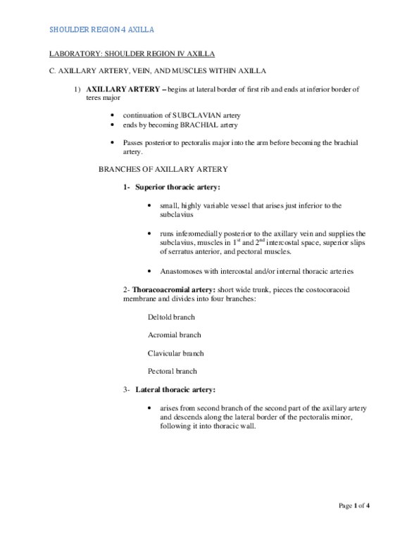 ANAT 315 Lecture Notes - Circumflex Branch Of Left Coronary Artery, Thoracoacromial Artery, Subscapular Artery thumbnail