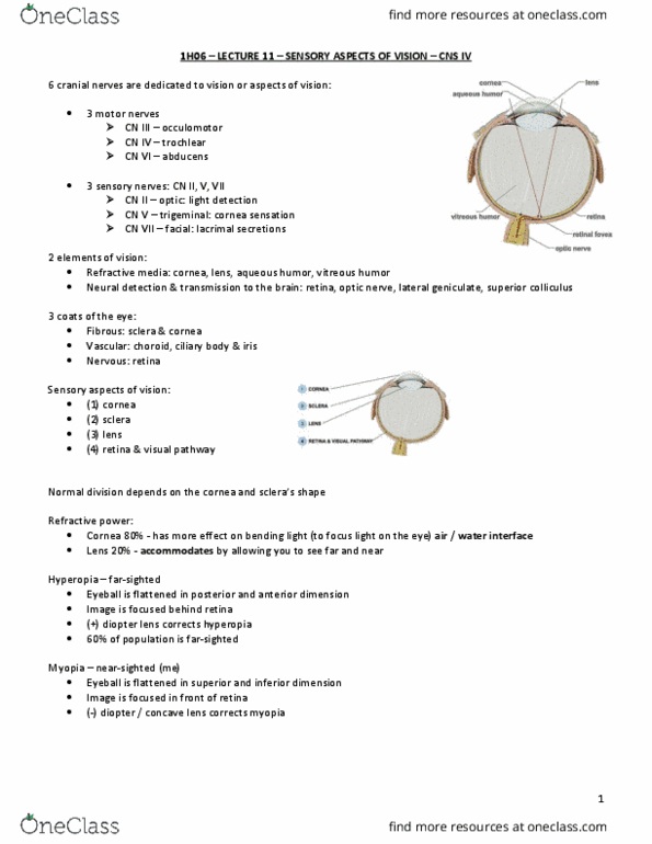 HTHSCI 1H06 Lecture Notes - Lecture 11: Lacrimal Gland, Corneal Epithelium, Vitreous Body thumbnail