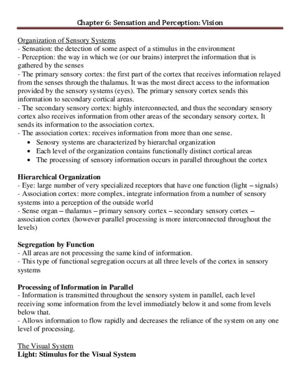 PSYB65H3 Chapter Notes - Chapter 6: Postcentral Gyrus, Visual Cortex, Retinal Ganglion Cell thumbnail