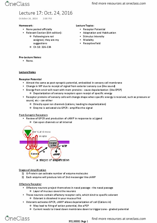 PSL300H1 Lecture Notes - Lecture 17: Olfactory Receptor, Receptive Field, Sensory Neuron thumbnail