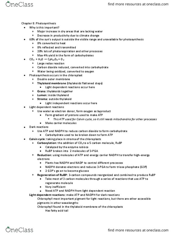 BIOL 1107 Lecture Notes - Lecture 8: Thylakoid, Light-Independent Reactions, Electron Donor thumbnail