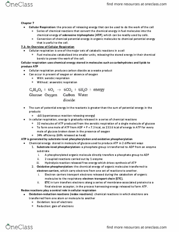 BIOL 1107 Lecture 7: Textbook and Lecture thumbnail