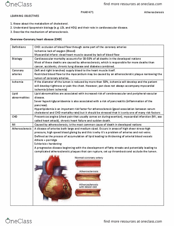 PHAR 471 Lecture Notes - Lecture 6: Coronary Artery Disease, Heart Failure, Coronary Circulation thumbnail