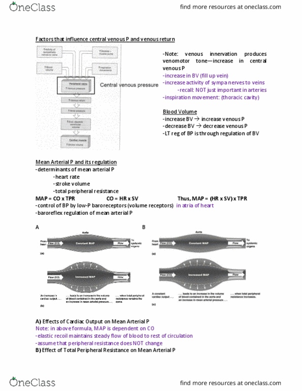 document preview image