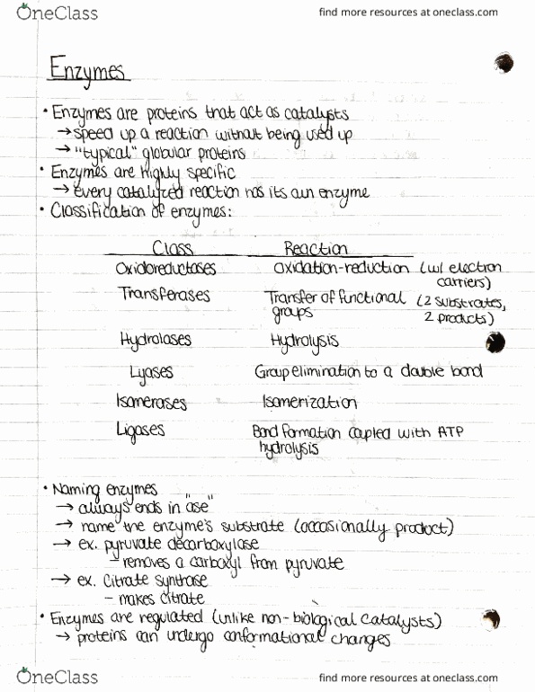 BIOCH200 Lecture Notes - Lecture 14: Oxyanion, Ion, Glyceraldehyde 3-Phosphate Dehydrogenase thumbnail