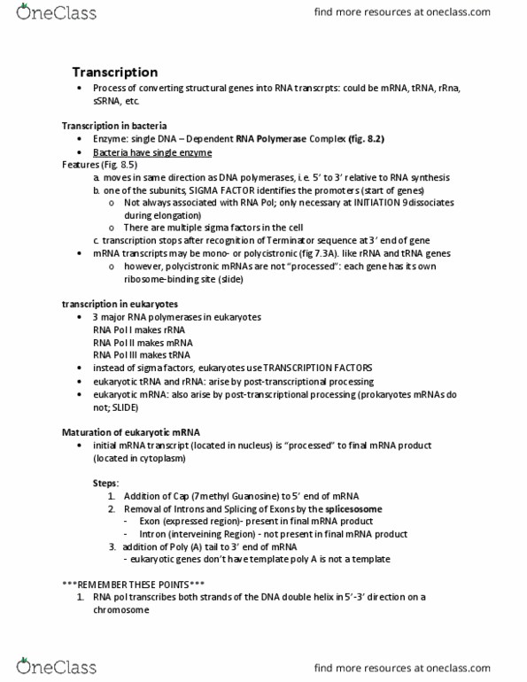 MICRB 201 Lecture Notes - Lecture 1: Rna Polymerase Iii, Open Reading Frame, Ribosomal Rna thumbnail