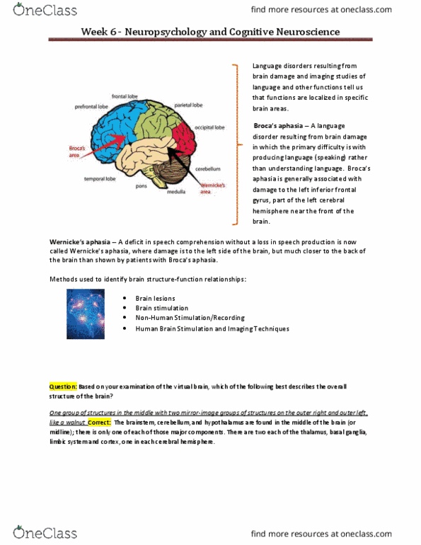 PSYC 100 Chapter Notes - Chapter Week 6: Frontal Lobe, Limbic System, Neuropsychology thumbnail