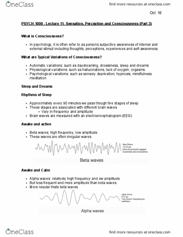 PSYC 1000 Lecture Notes - Lecture 11: Alpha Wave, Sleep Deprivation, Sensory Deprivation thumbnail