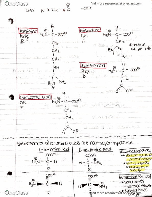 BIOCH320 Lecture Notes - Lecture 2: Leucine, Valine, Enzyme thumbnail