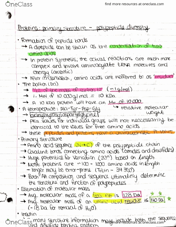 BIOCH320 Lecture Notes - Lecture 5: Electrophoresis, Glycerol, Electric Field thumbnail