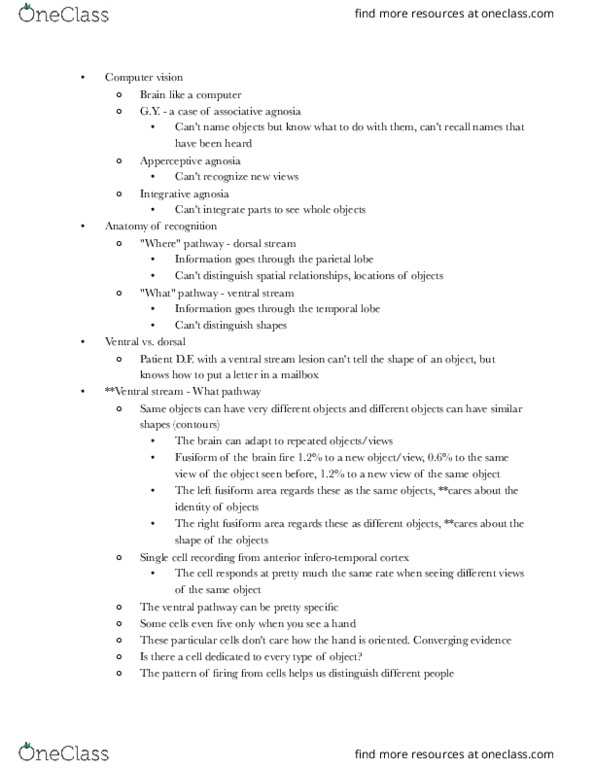 PSYC 2031 Lecture Notes - Lecture 6: Two-Streams Hypothesis, Parietal Lobe, Computer Vision thumbnail