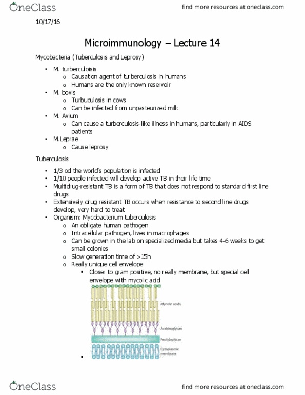 Microbiology and Immunology 2500A/B Lecture Notes - Lecture 14: Mycobacterium Bovis, Cell Envelope, Pasteurization thumbnail