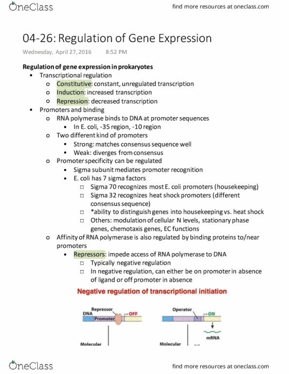BIOL 0280 Lecture Notes - Lecture 21: Consensus Sequence, Repressor, Dna-Binding Domain thumbnail