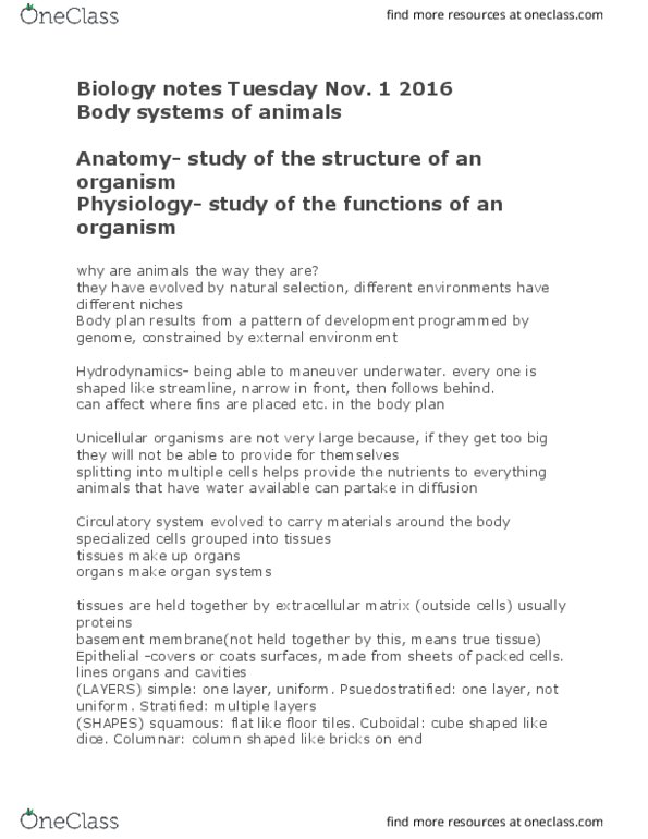 BIO 112 Lecture Notes - Lecture 20: Biological System, Body Plan, Nervous Tissue thumbnail