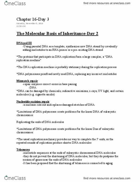 LIFE 102 Lecture Notes - Lecture 37: Dna Mismatch Repair, Dna Replication, Heterochromatin thumbnail