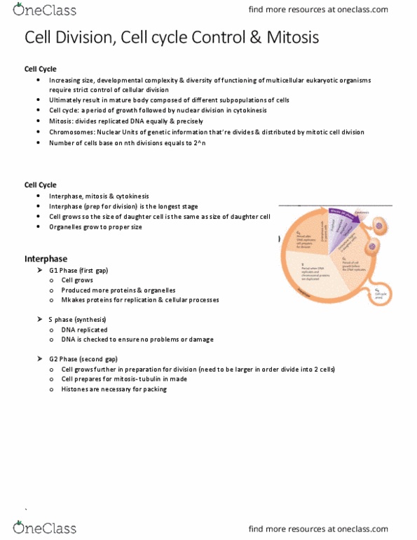 BIOL 1000 Lecture Notes - Lecture 24: G2 Phase, Cytokinesis, Cell Cycle thumbnail