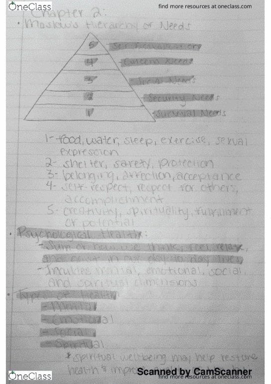 HSC 160 Lecture Notes - Lecture 2: Torr, Conscientiousness, Emo thumbnail