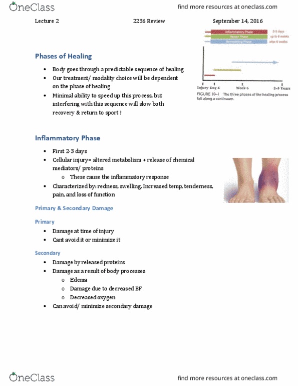 Kinesiology 3336A/B Lecture Notes - Lecture 2: Primary And Secondary Brain Injury, Edema, Synovial Fluid thumbnail