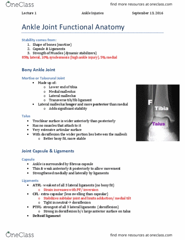 Kinesiology 3336A/B Lecture Notes - Lecture 1: Deltoid Ligament, Subtalar Joint, Fibrous Joint thumbnail