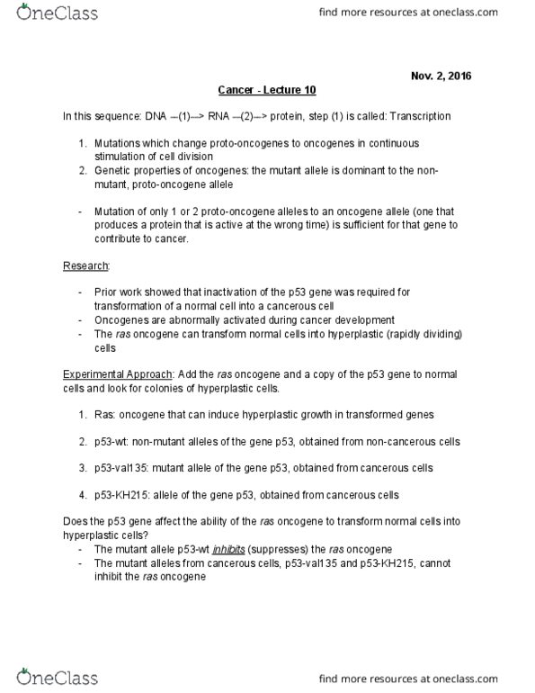 BIOL 1F25 Lecture Notes - Lecture 13: Oncogene, P53, Apoptosis thumbnail