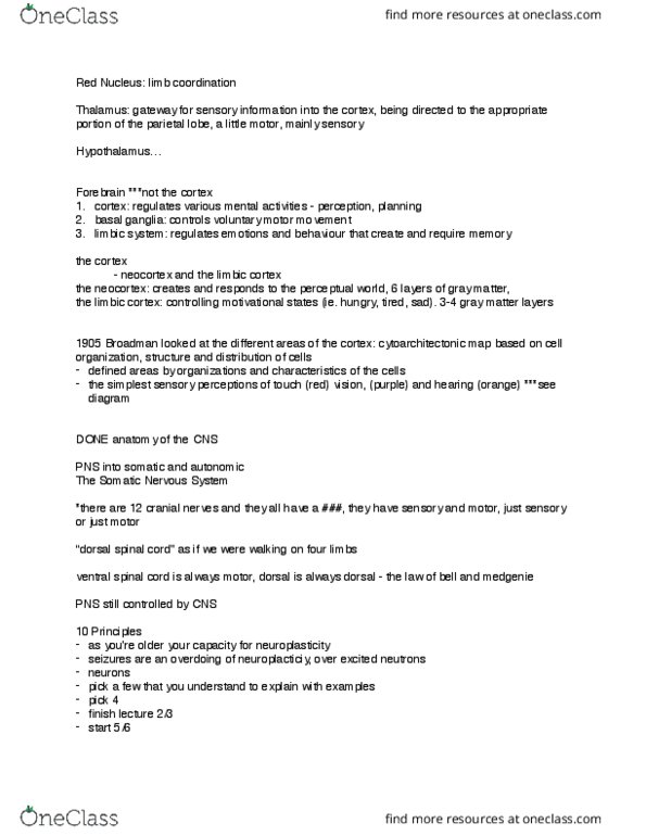 PSY 2301 Lecture Notes - Lecture 4: Brodmann Area, Entorhinal Cortex, Basal Ganglia thumbnail