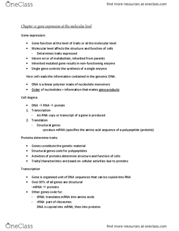 BIO 111 Lecture Notes - Lecture 12: Gene Expression, Peptide, Ribosomal Rna thumbnail