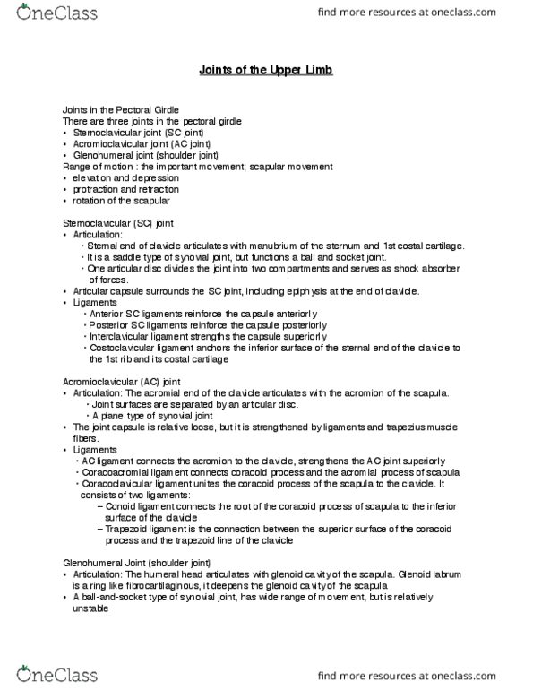 APA 1313 Lecture Notes - Lecture 7: Glenoid Labrum, Coracoacromial Ligament, Glenohumeral Ligaments thumbnail