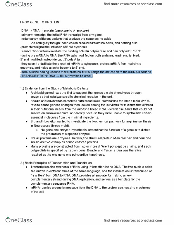BIO SCI 93 Lecture Notes - Lecture 15: Uracil, Srb, Archibald Garrod thumbnail