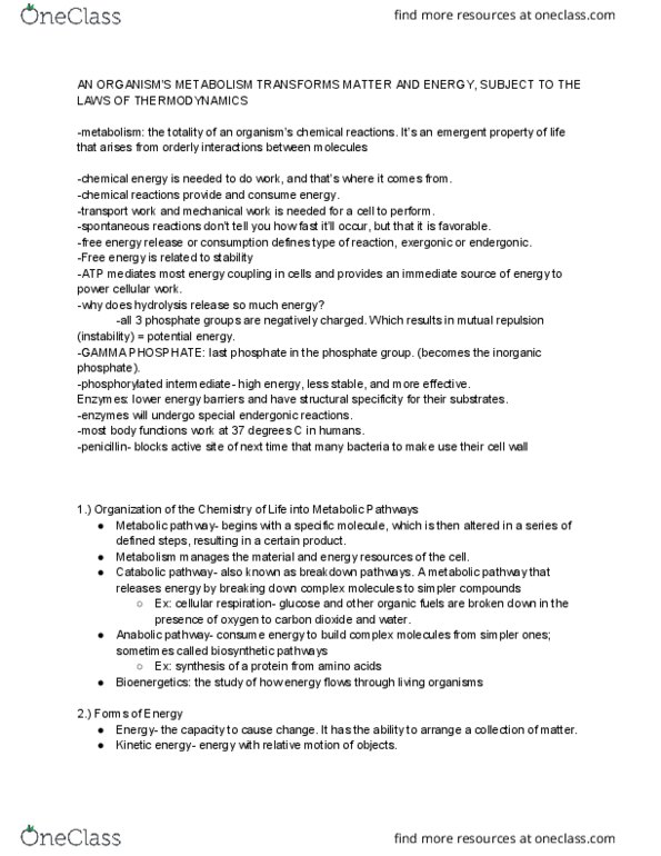 BIO SCI 93 Lecture Notes - Lecture 10: Chemical Energy, Adenine, Living Systems thumbnail