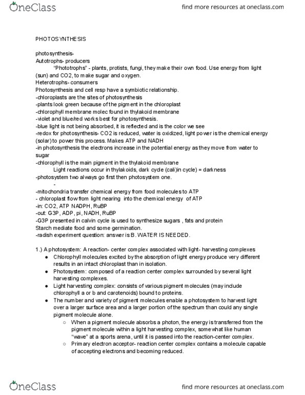 BIO SCI 93 Lecture Notes - Lecture 12: Oxaloacetic Acid, Intermembrane Space, Succulent Plant thumbnail